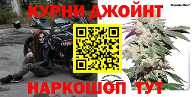 a pvp Заводоуковск